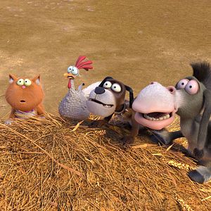 Foto Agente 00 - gato