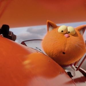 Foto Agente 00 - gato