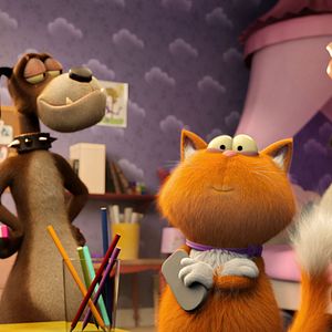 Foto Agente 00 - gato