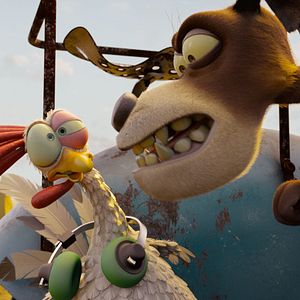 Foto Agente 00 - gato