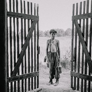 Foto The painted bird