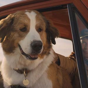 Foto La razón de estar contigo: Un nuevo viaje