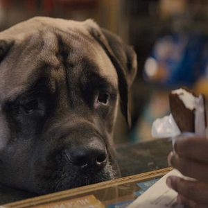 Foto La razón de estar contigo: Un nuevo viaje