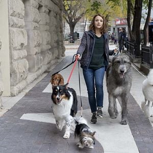 Foto La razón de estar contigo: Un nuevo viaje