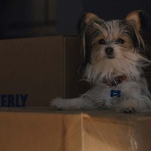 Foto La razón de estar contigo: Un nuevo viaje