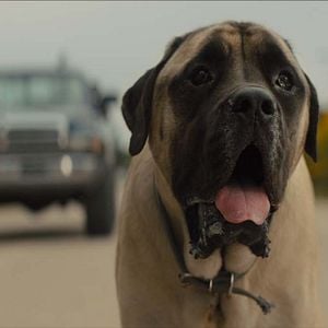 Foto La razón de estar contigo: Un nuevo viaje