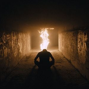 Foto La paloma y el lobo