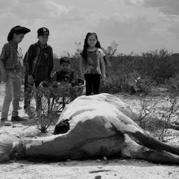 Foto El paraíso de la serpiente