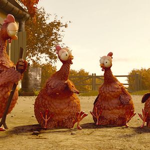 Foto Agente 00 - gato