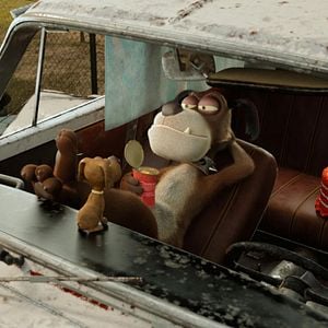 Foto Agente 00 - gato