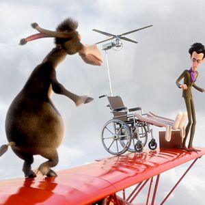 Foto Agente 00 - gato