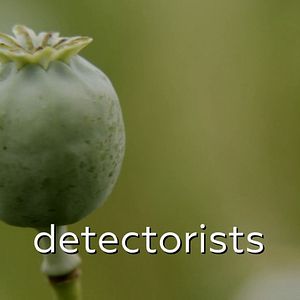 Foto Detectorists