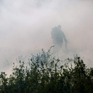 Foto Los hambrientos