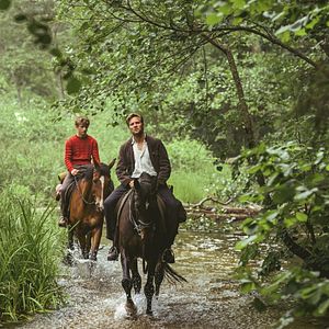 Foto Out Stealing Horses