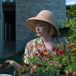 Foto Swallow: La perfección te traga