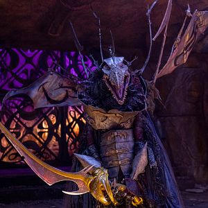 Foto El Cristal Encantado: La era de la resistencia.