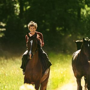 Foto Out Stealing Horses