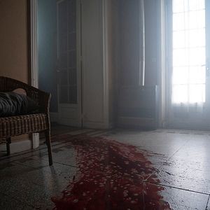 Foto Marianne (2019)