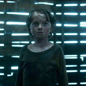 Foto En la hierba alta