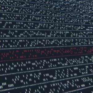 Foto Naturaleza humana