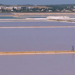 Foto Naturaleza humana