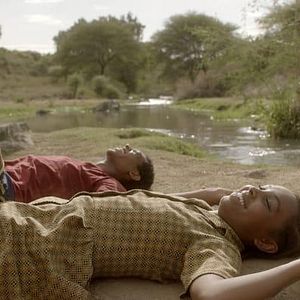 Foto El árbol de Higo