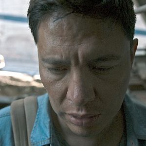 Foto La paloma y el lobo