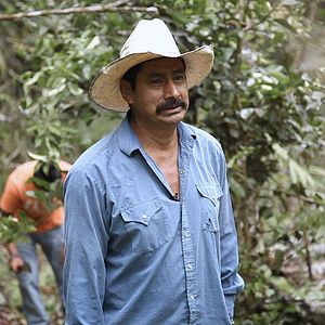 Foto A Six Dollar Cup of Coffee