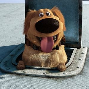 Foto Up, una aventura de altura