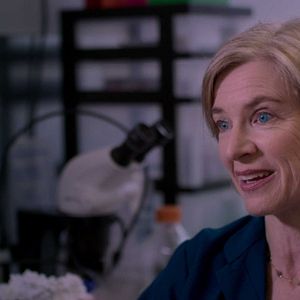 Foto Selección antinatural