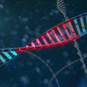 Foto Selección antinatural