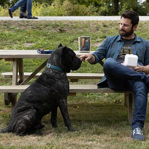 Foto A Million Little Things