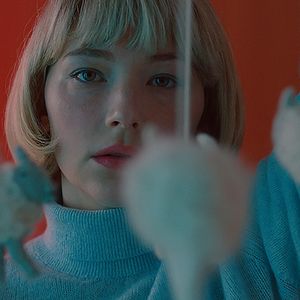 Foto Swallow: La perfección te traga