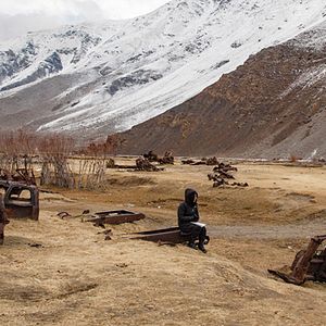 Foto A Dog Called Money