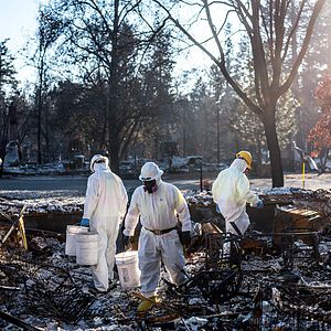 Foto Paradise en llamas