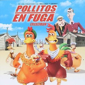 Foto Pollitos en fuga