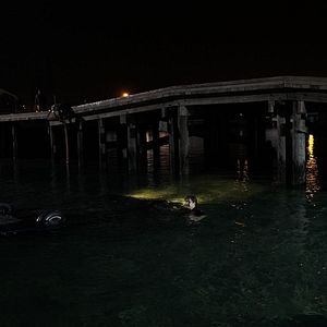 Foto El escándalo Ted Kennedy