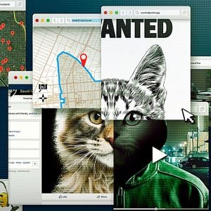 Foto No te metas con los gatos: Un asesino en internet.