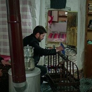 Foto Hercai: Amor y Venganza