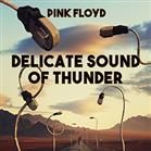 Foto The delicate sound of thunder