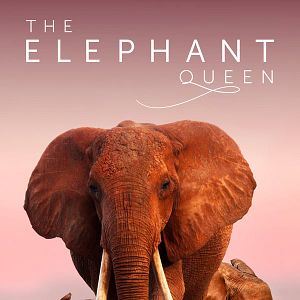 Foto The Elephant Queen