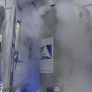 Foto Criogenización: Vivir dos veces