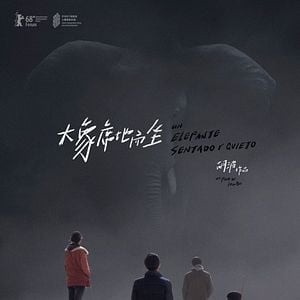 Foto Un elefante sentado y quieto