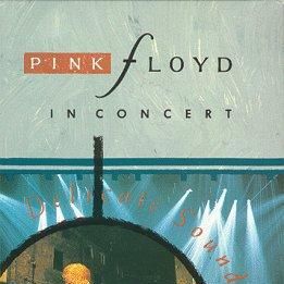 Foto The delicate sound of thunder