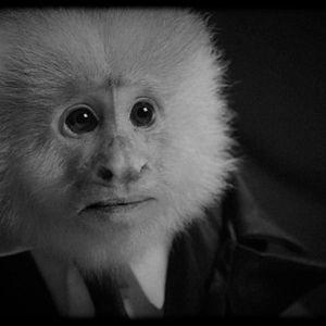 Foto What did Jack do?