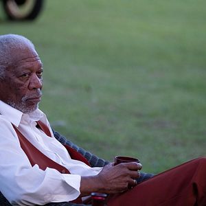 Foto La rosa venenosa