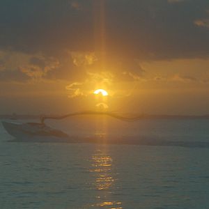 Foto Omniboat: A Fast Boat Fantasia