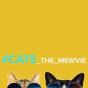 Foto #cats_The_Mewvie