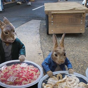 Foto Peter Rabbit 2: Conejo en fuga