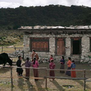 Foto Lunana: A Yak in the Classroom